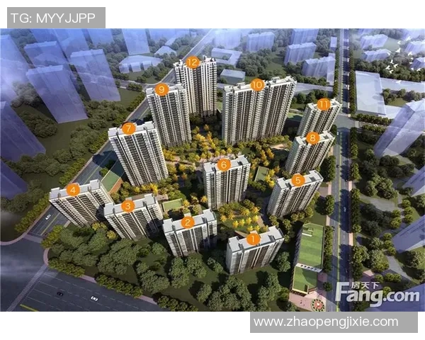 南京排球队阵地战分析：优劣势与未来发展方向探讨