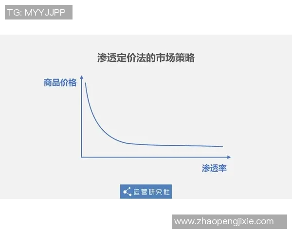 深入分析上海篮球队的运营策略与市场推广模式探讨